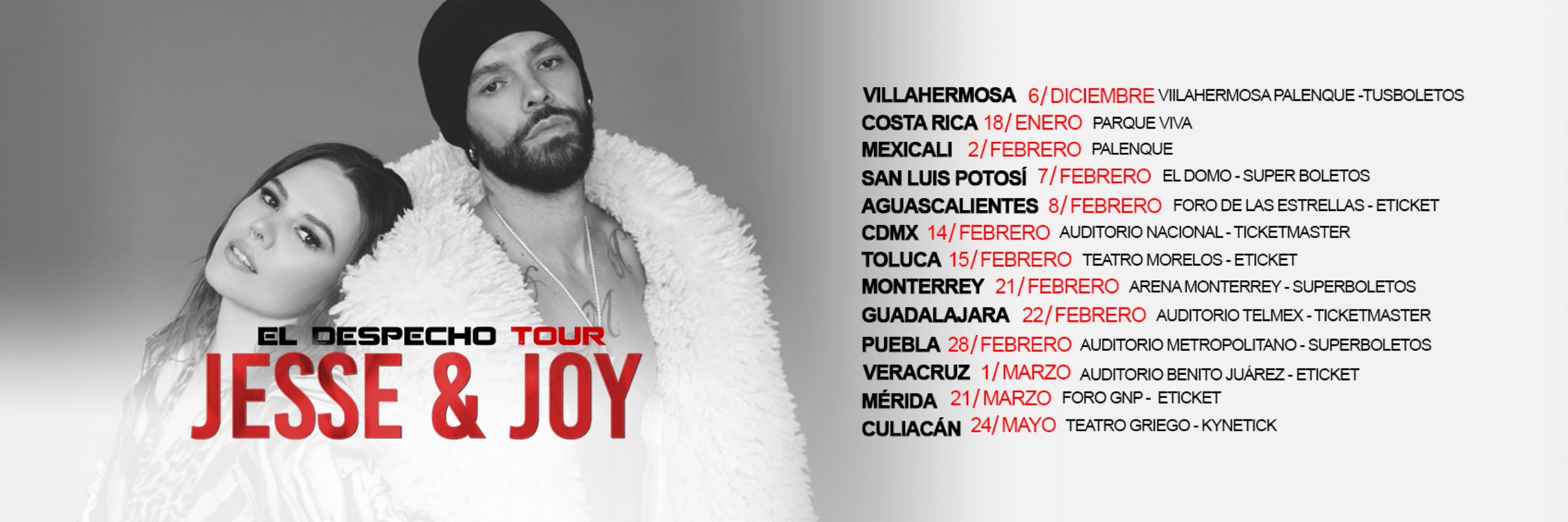Jesse y Joy