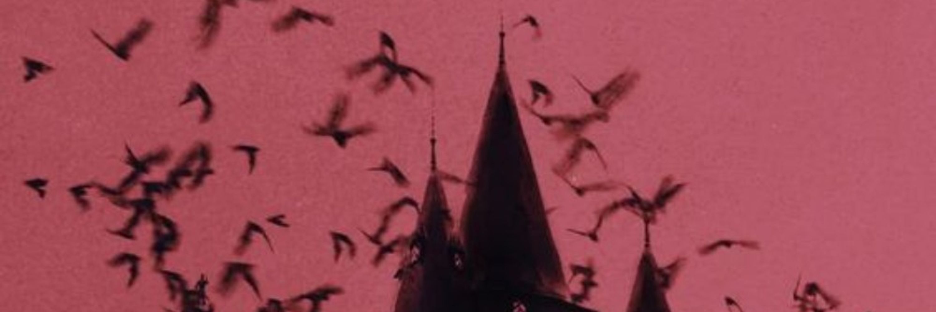 𐕣 crusty 🦇🩸