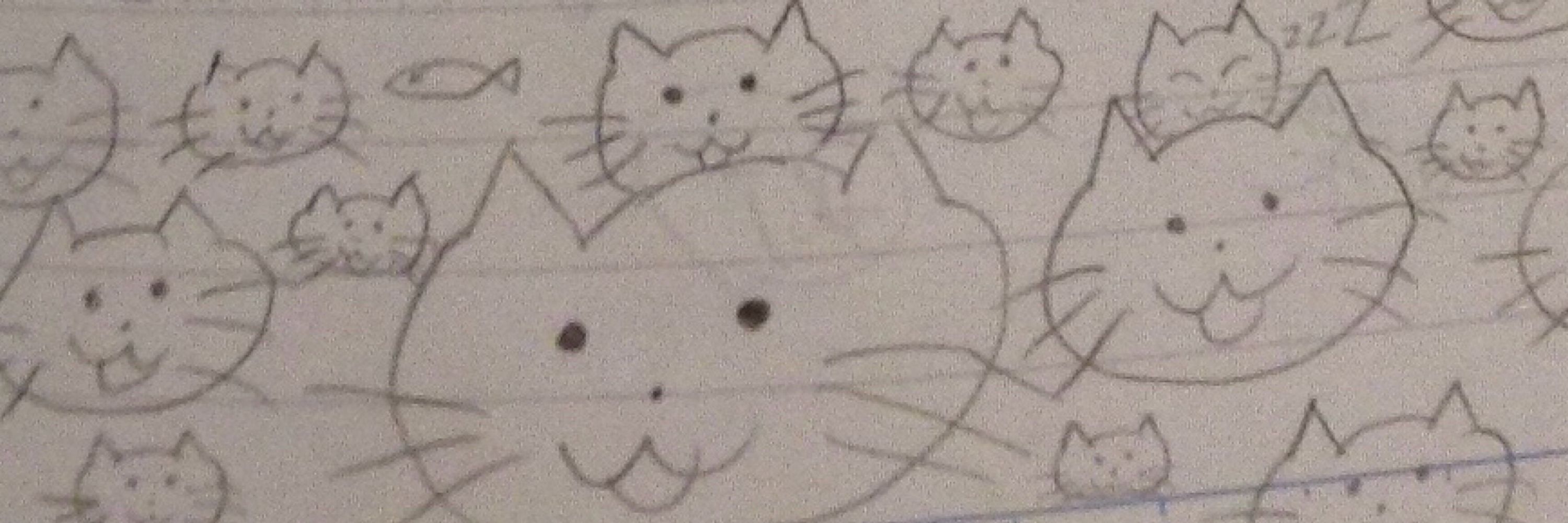 しろねこ