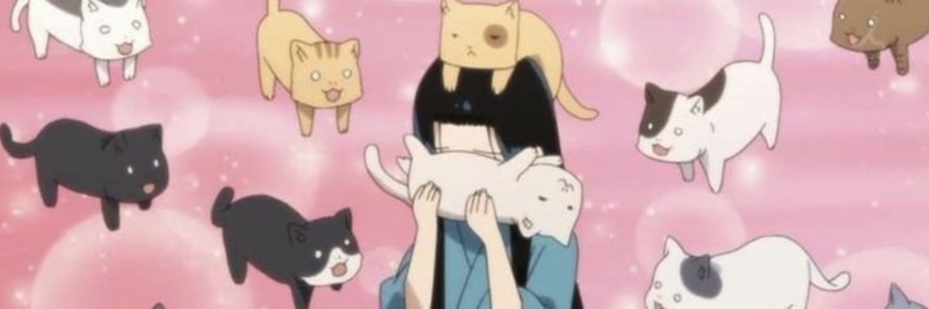 vi 𖹭 #kiminitodoke