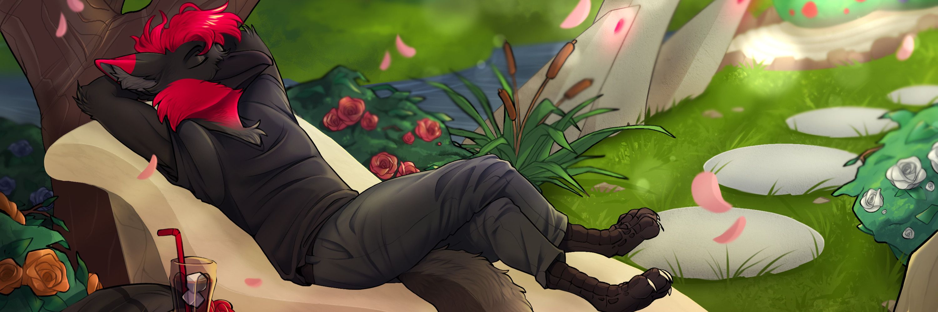 Nox Aeris