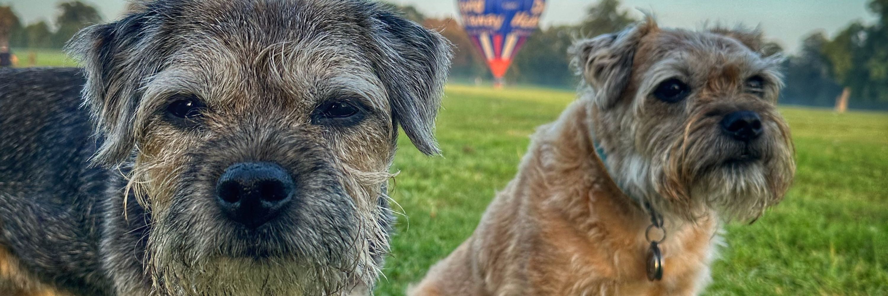 Scrappy Nelson & Duncan Pickles
