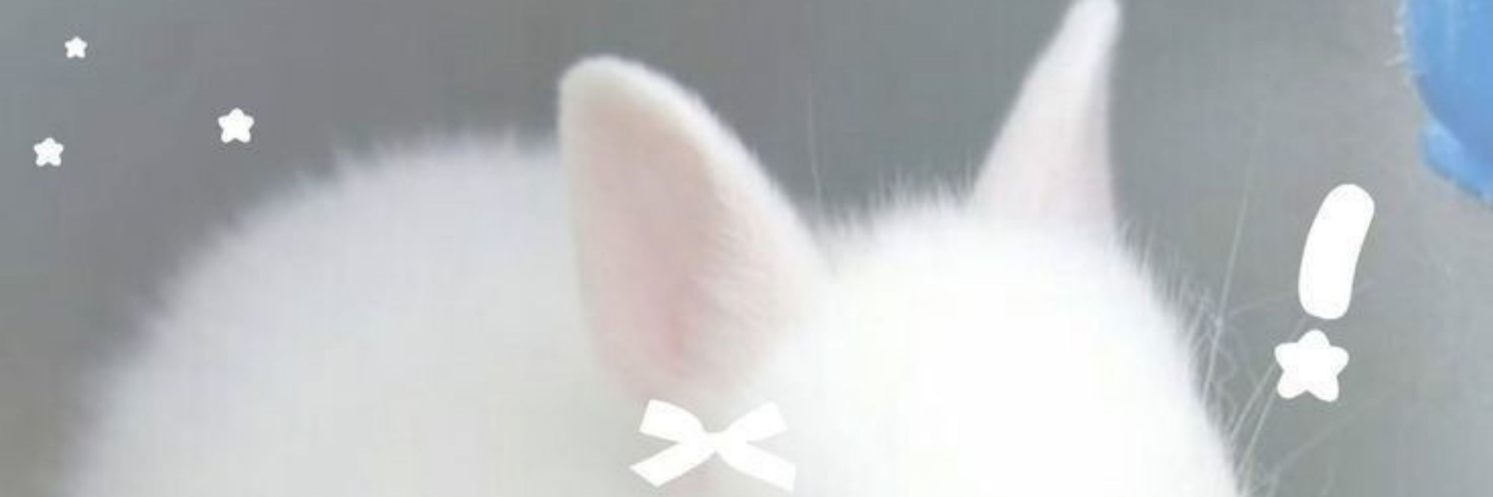 zenn 🐇