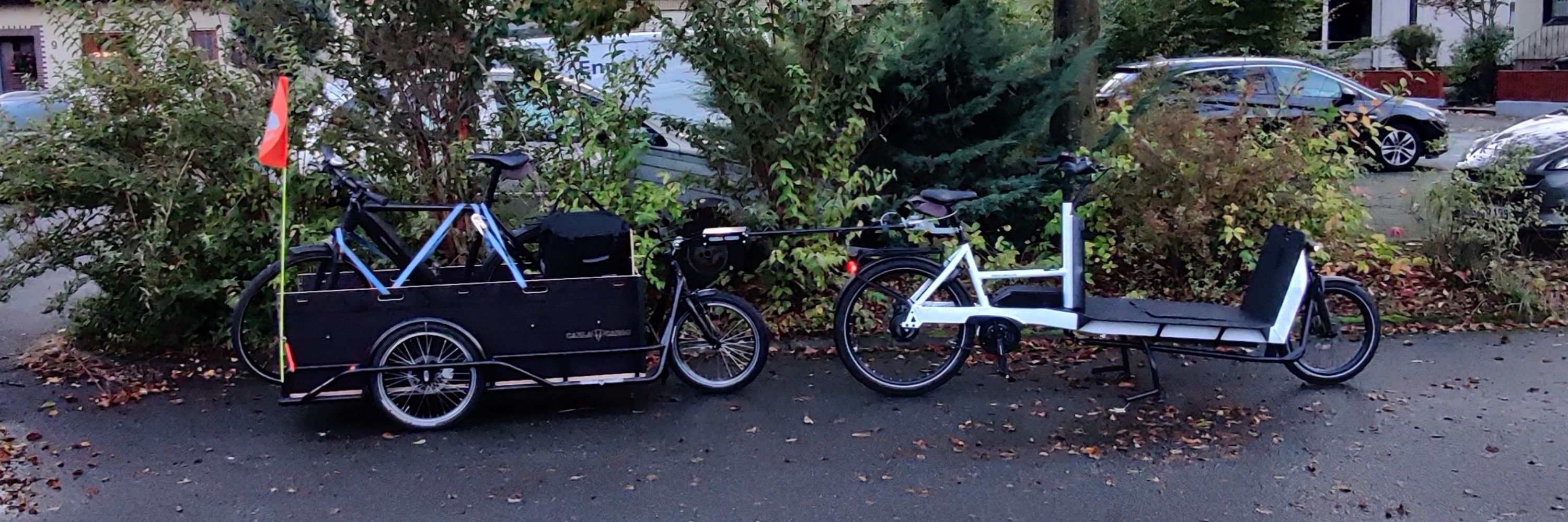 Biking Beekeeper