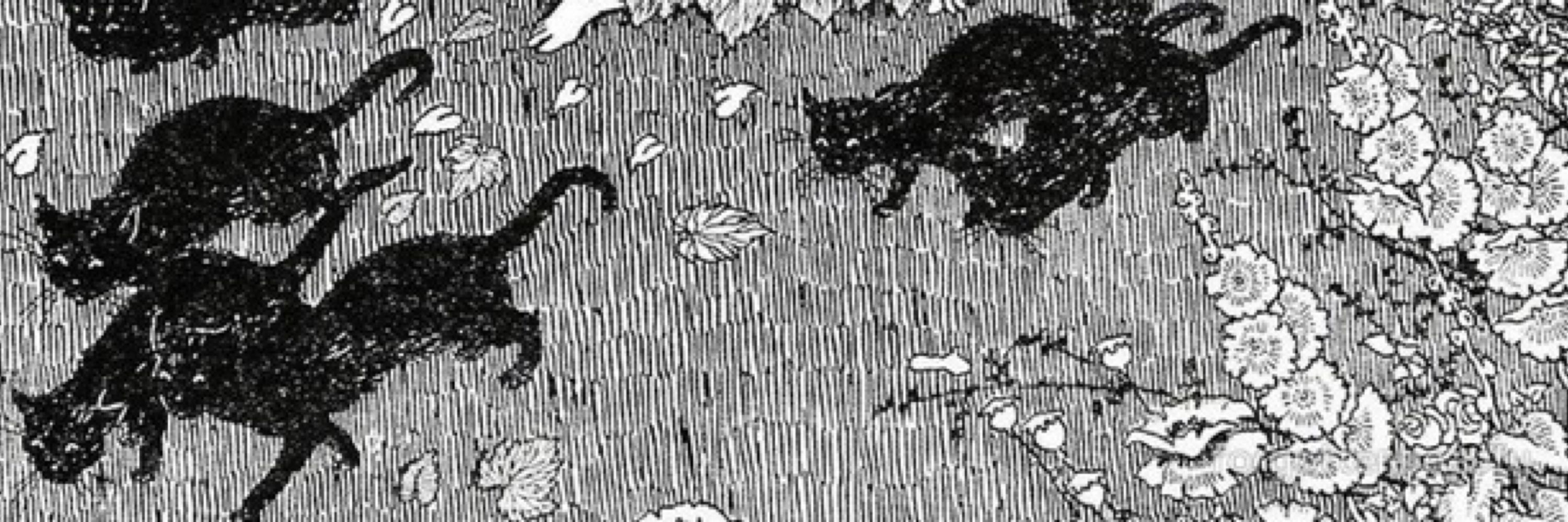 Fiona Reddick