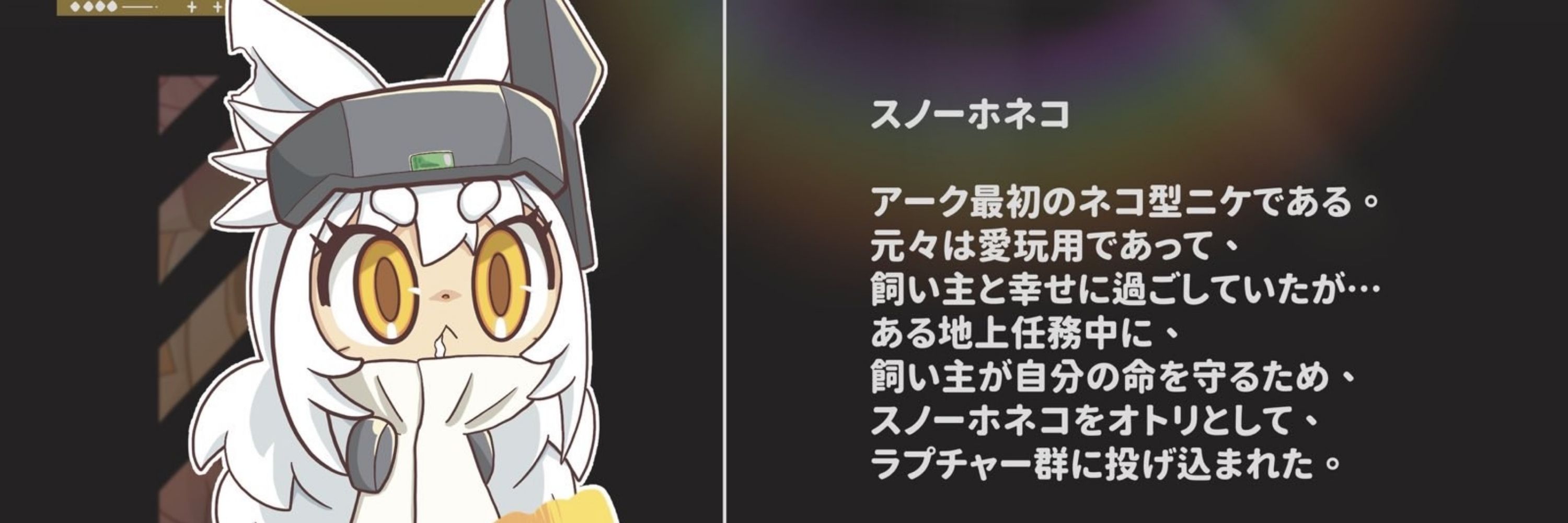 白雪貓貓
