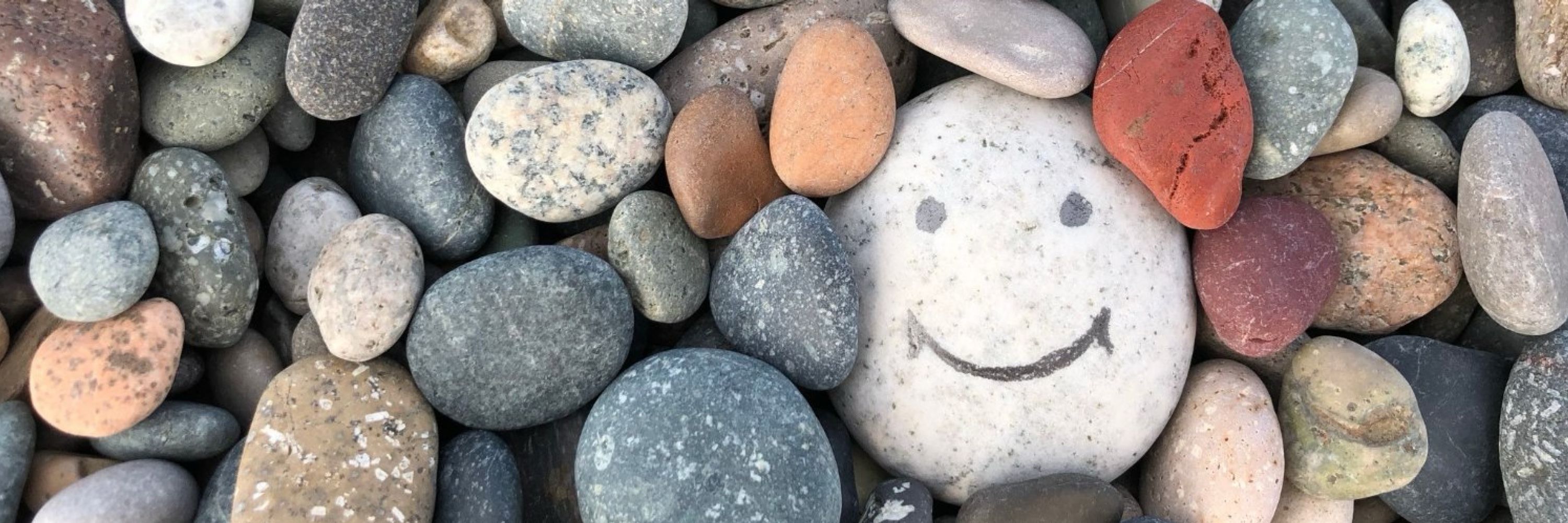 Pebble Autism