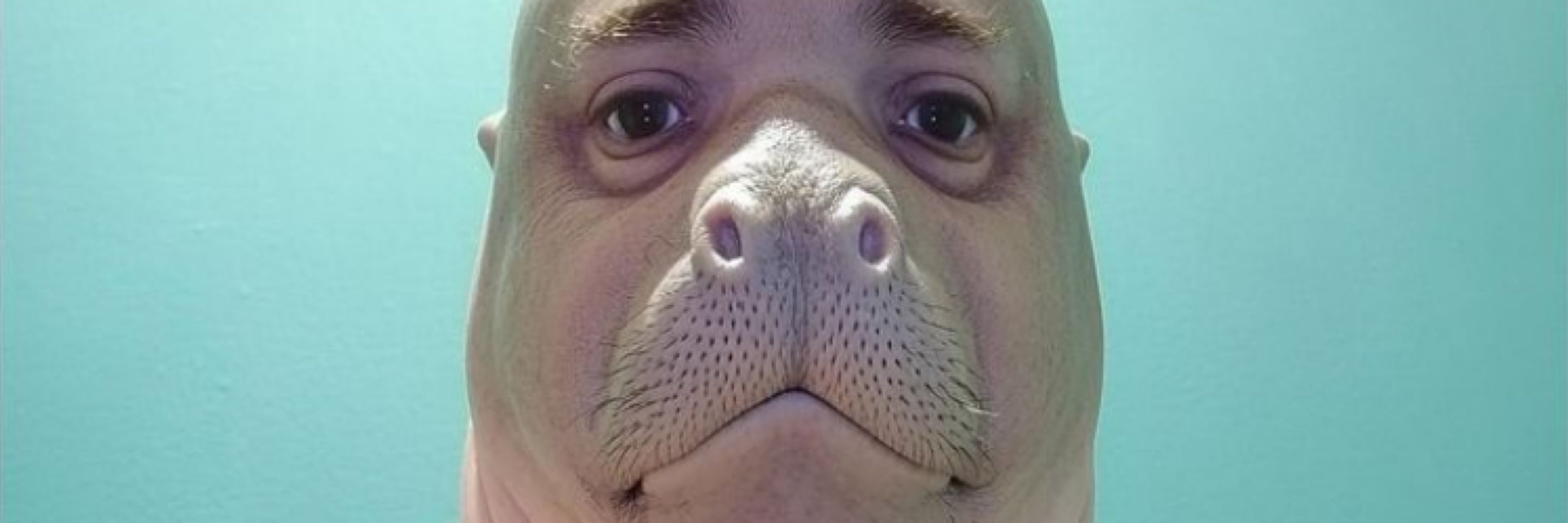 Elton Mosca Oficial