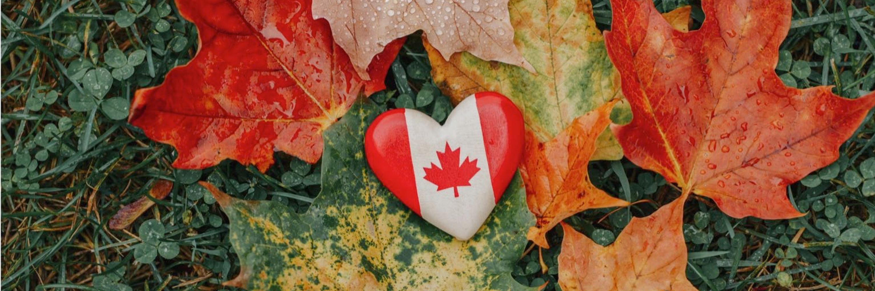 Artist_Canada