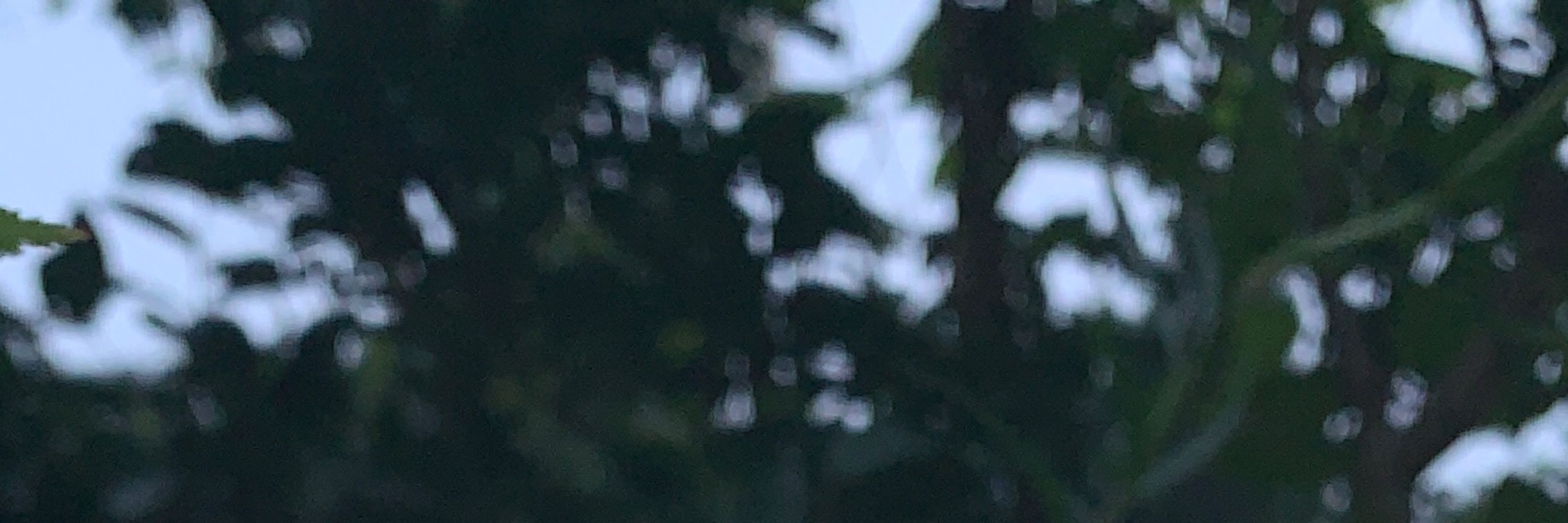 網