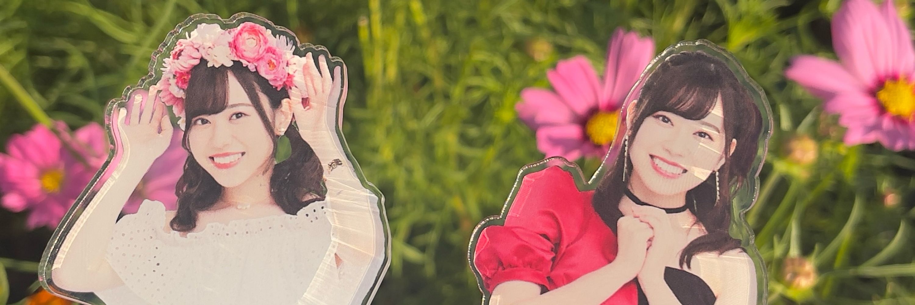 すてら💫🌷🪷
