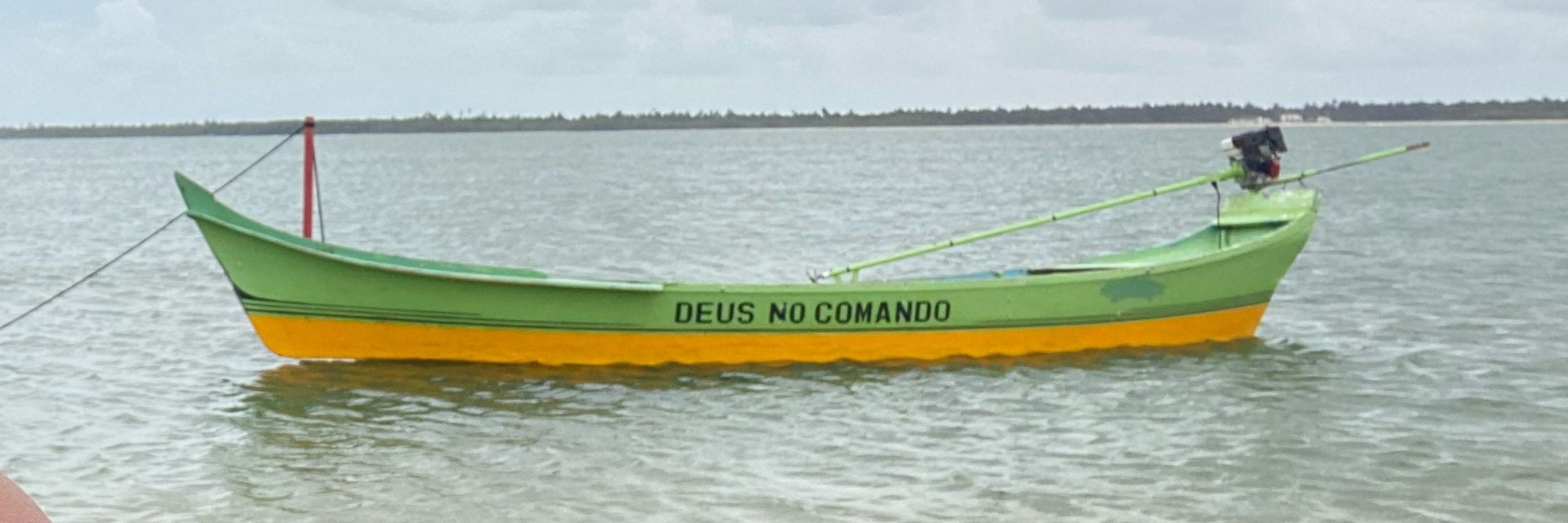 Juliana Ser