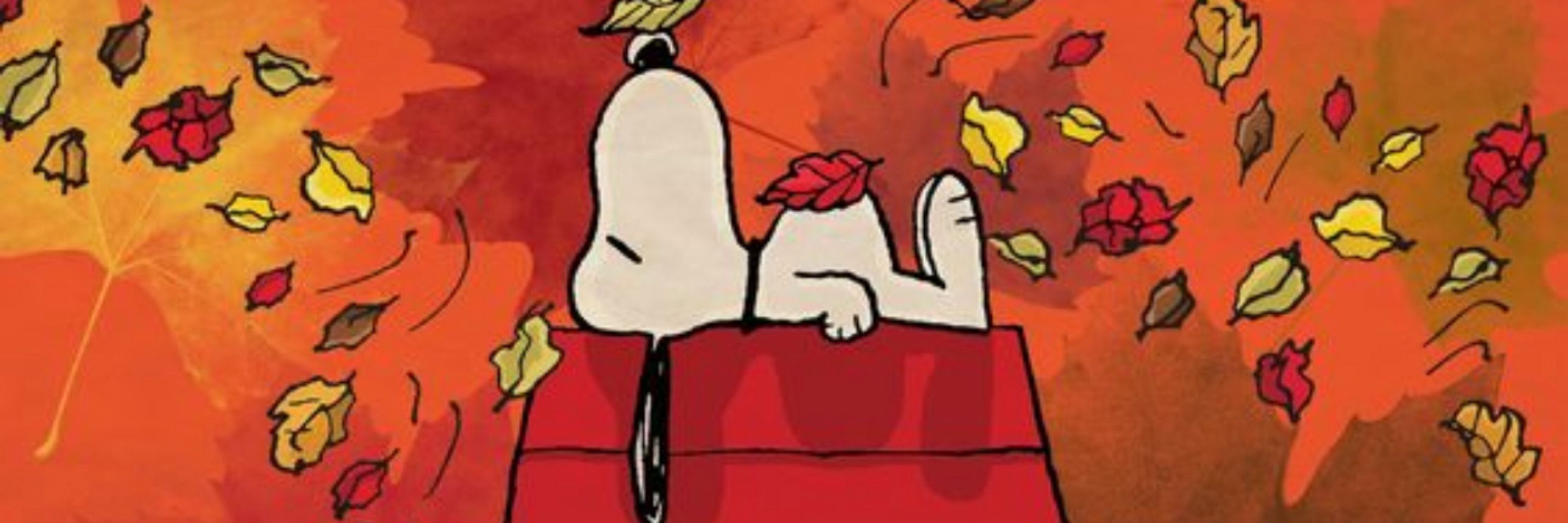 Everything Snoopy