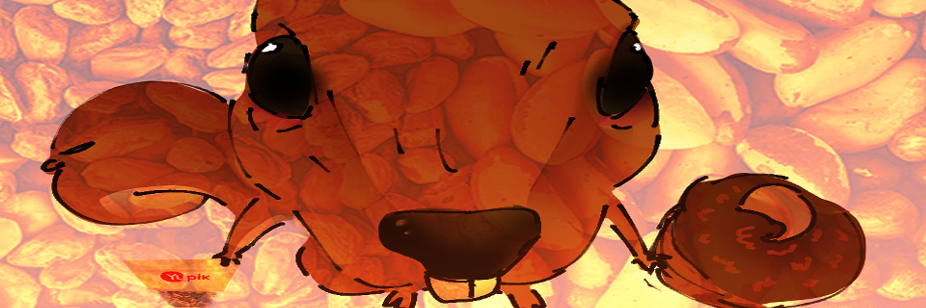 char li{'E'};