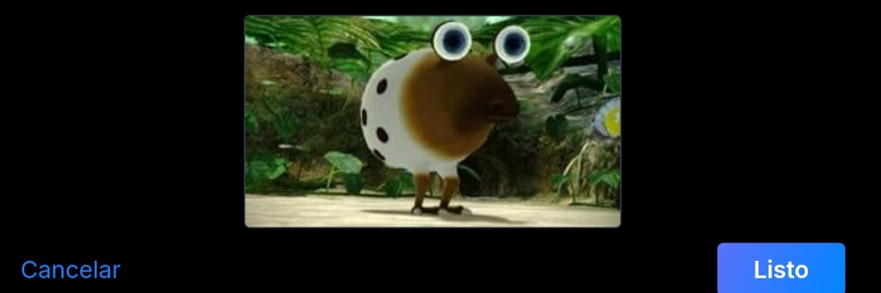 borb
