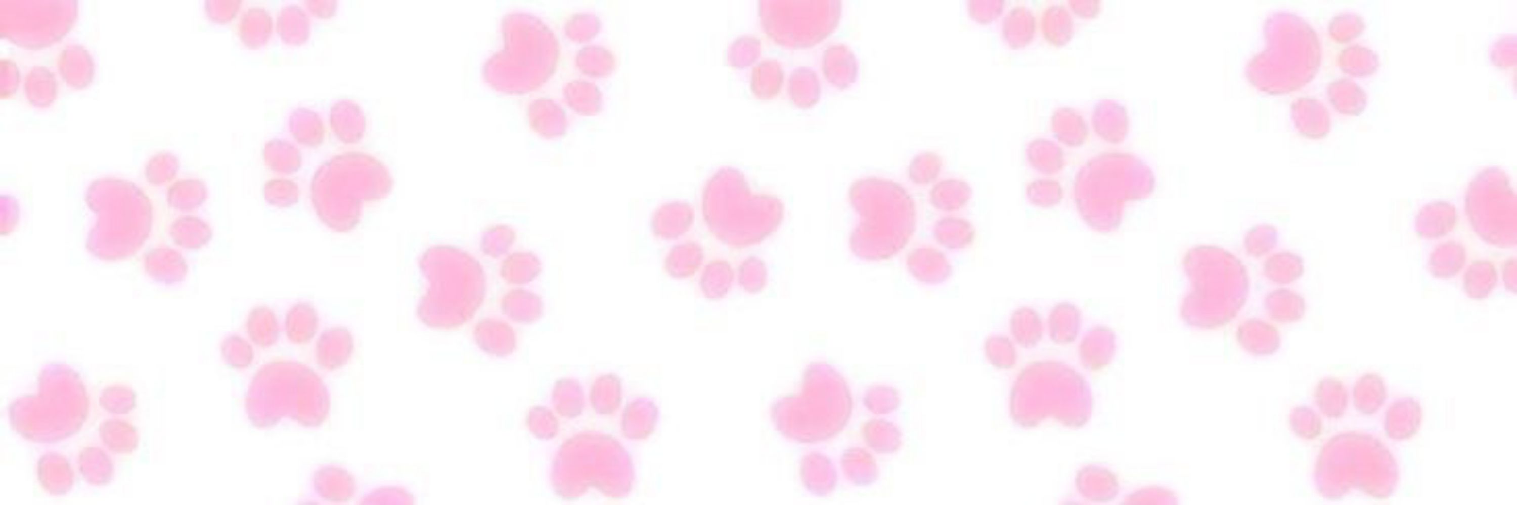 ♡ .  ⌗  – ¡¡ 𝑨𝒏𝒊 🌸 ∩⑅∩