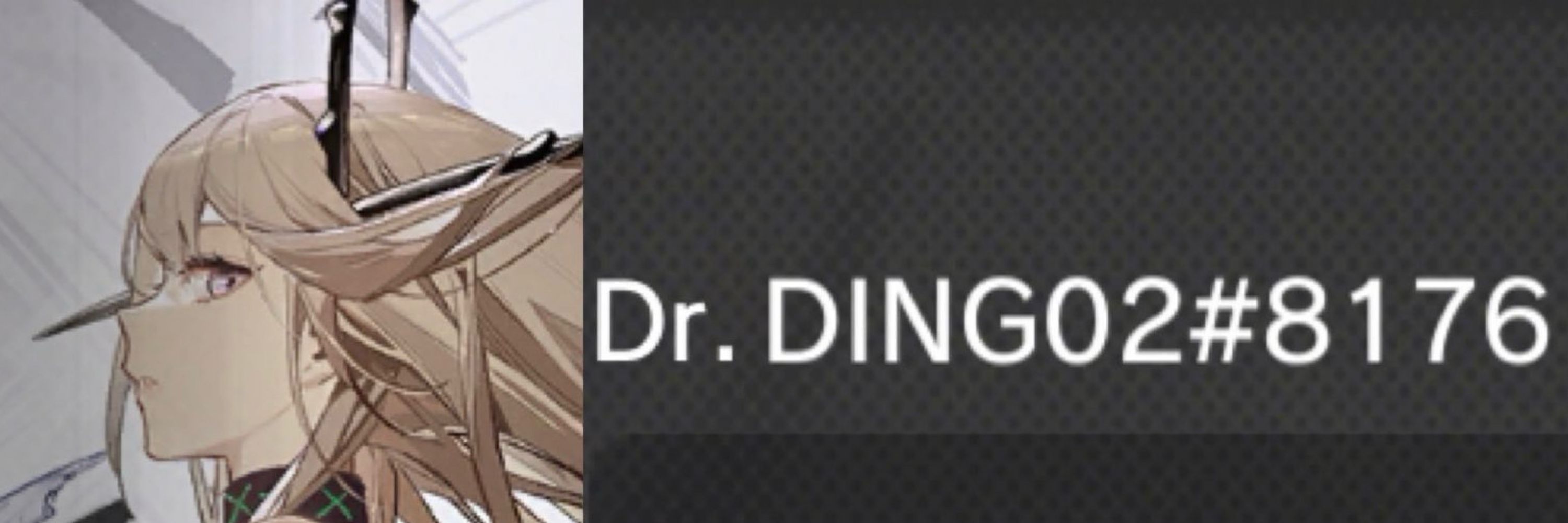 DING02