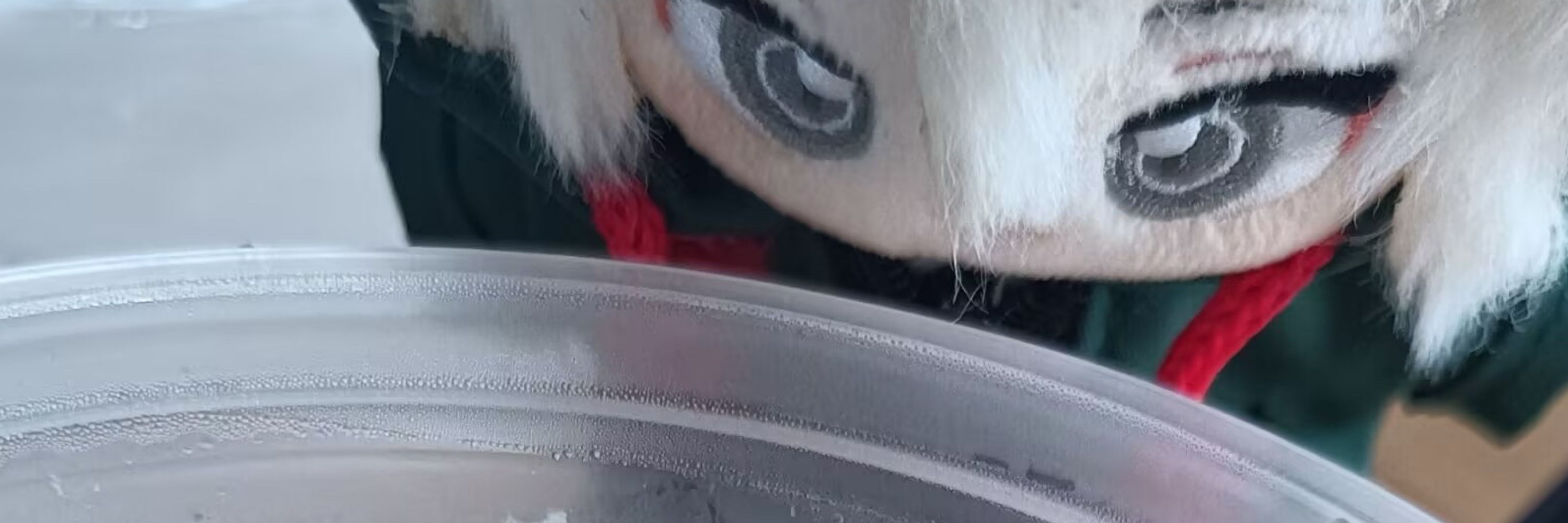 目蚀