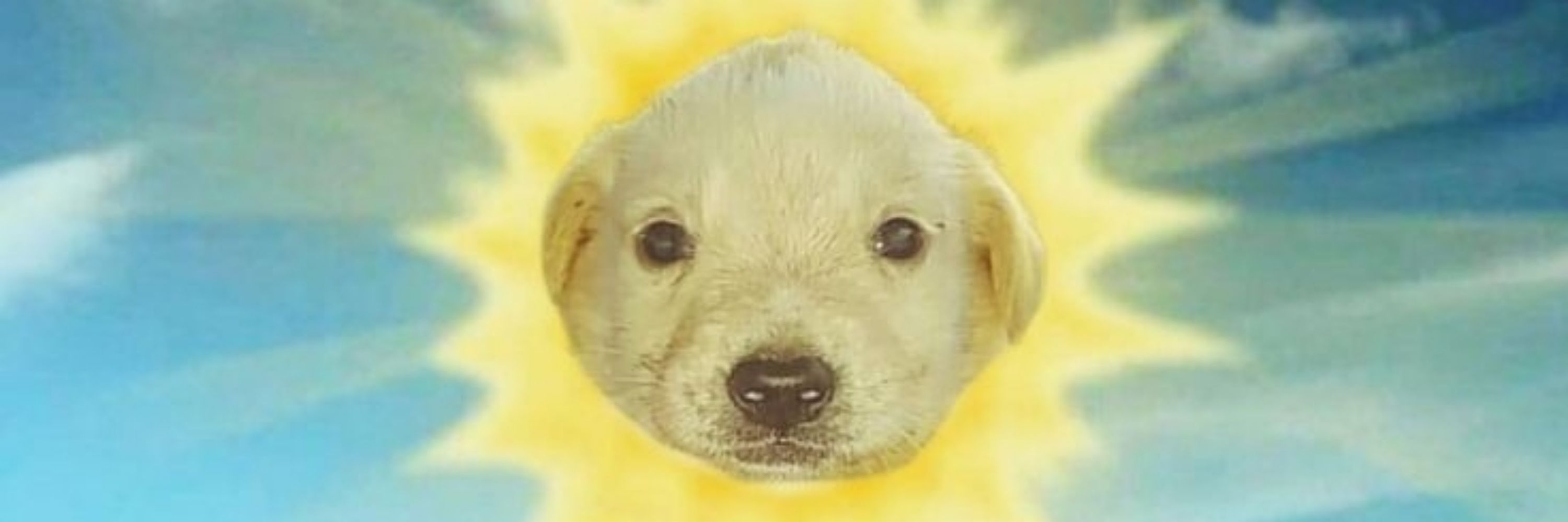 LittleMarshmellow