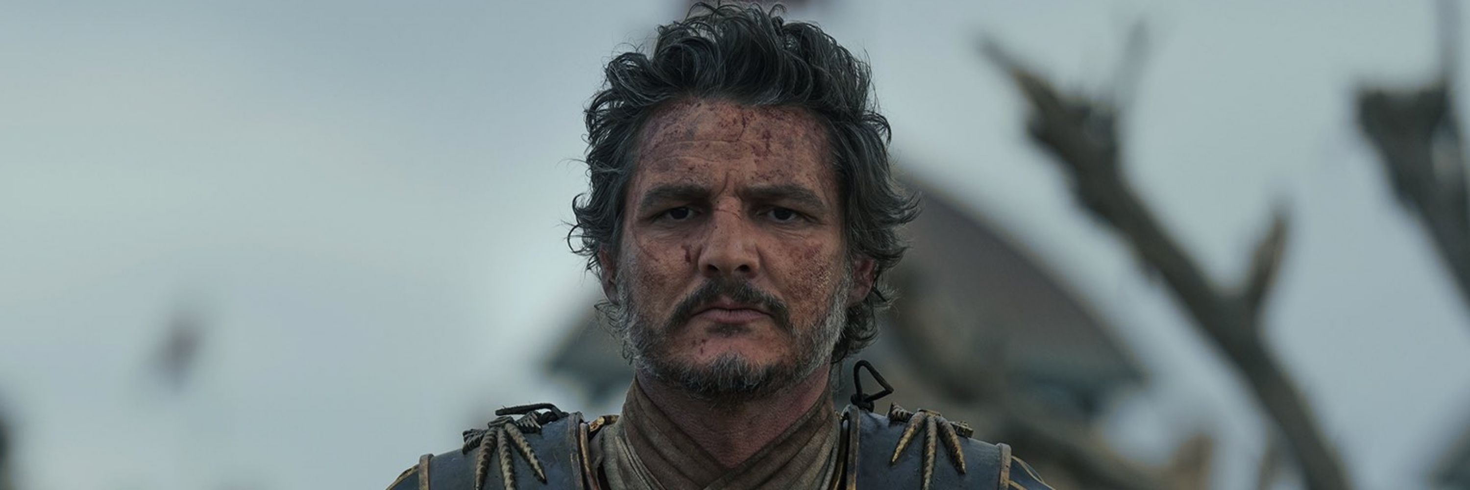 Anne • esposa do Pedro Pascal 