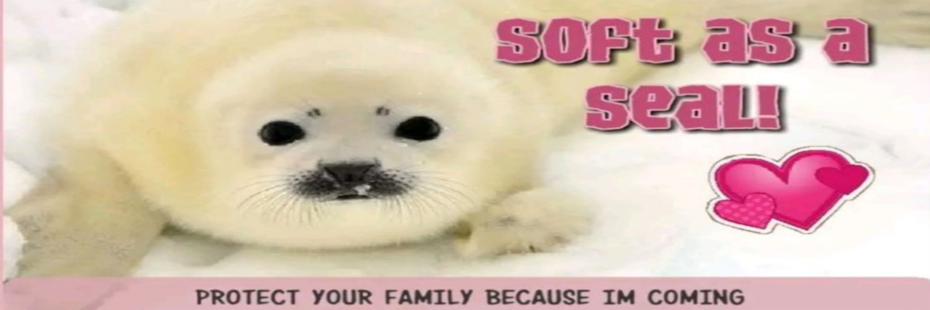 squiinn