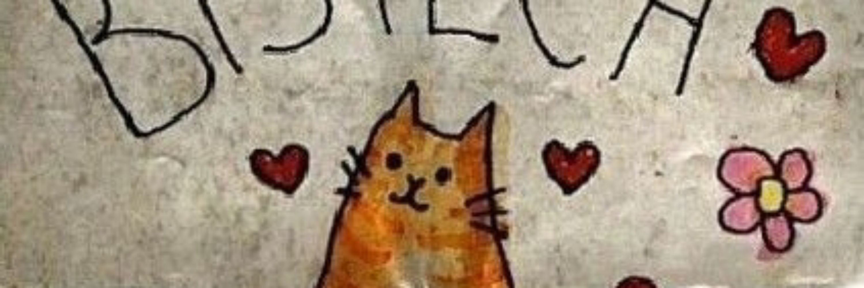 🦝Mococa🦝
