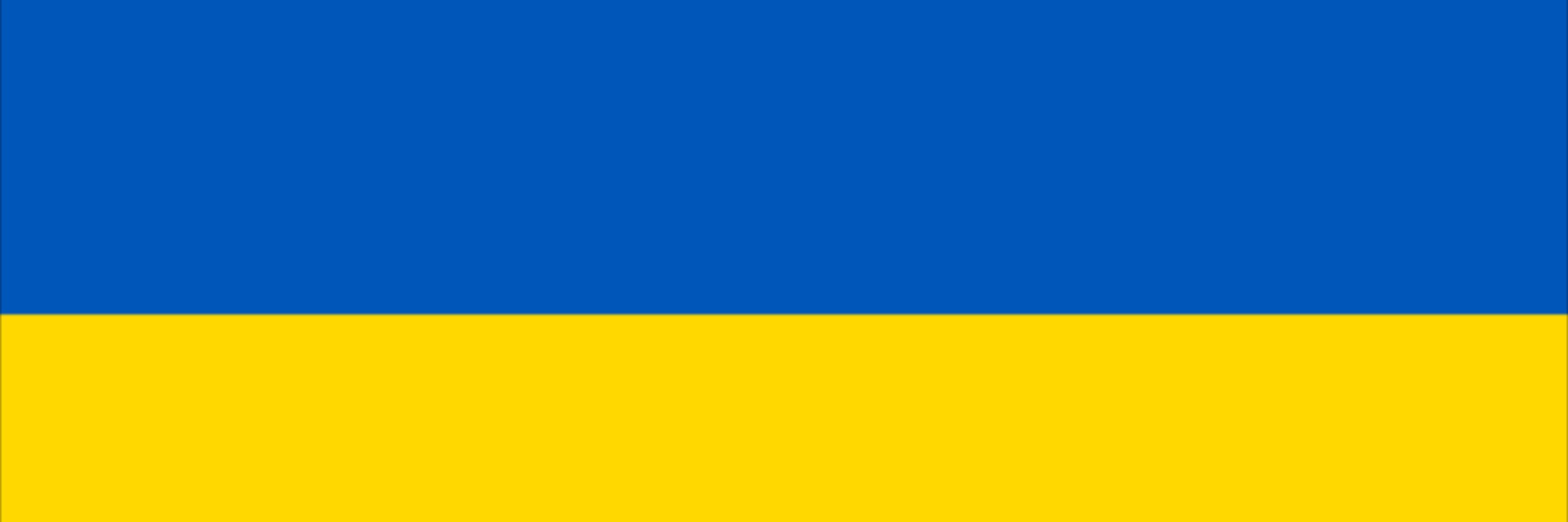 The Staring Cat 🇺🇦