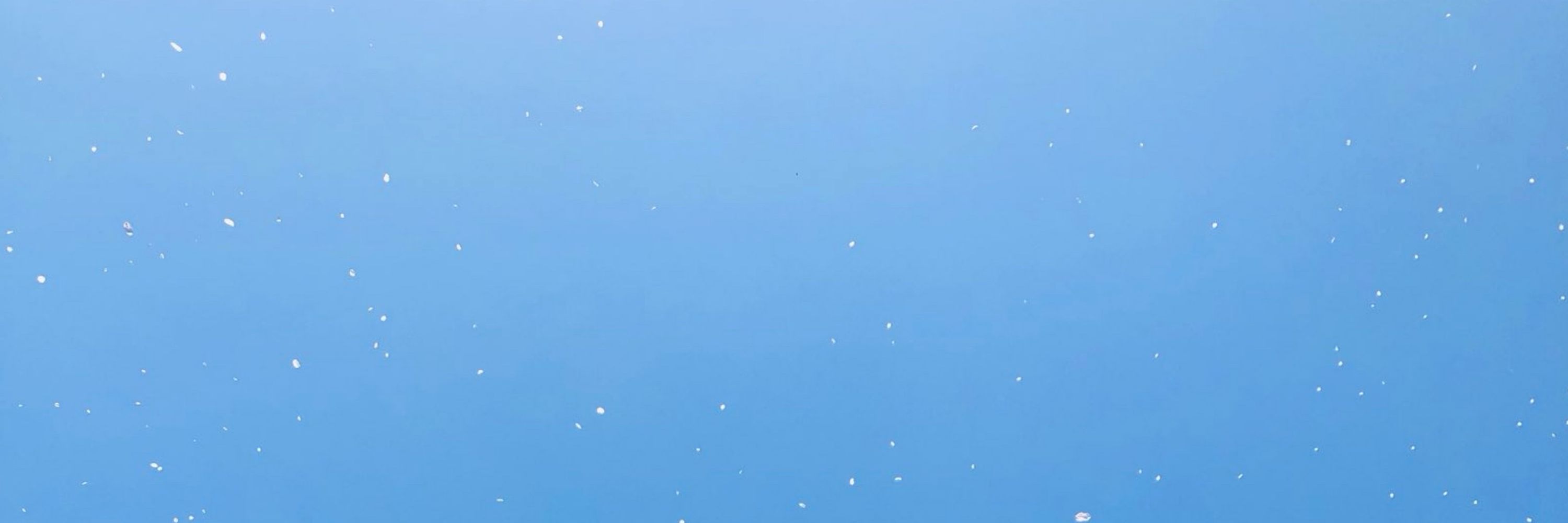 もん