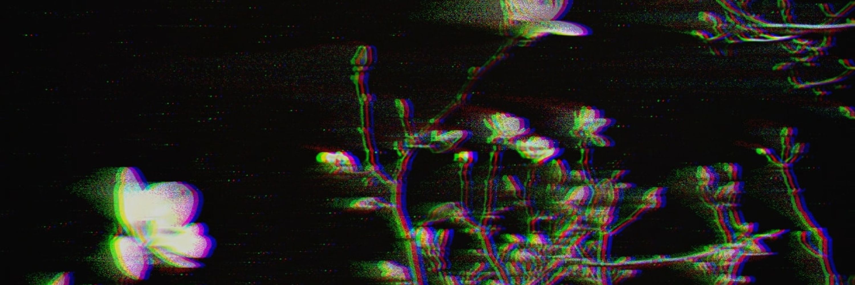 moss