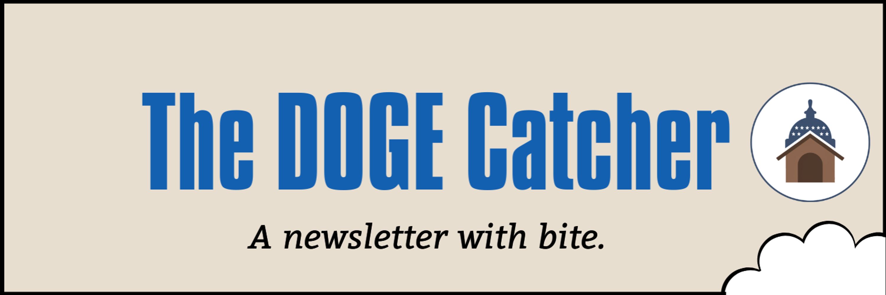 The DOGE Catcher