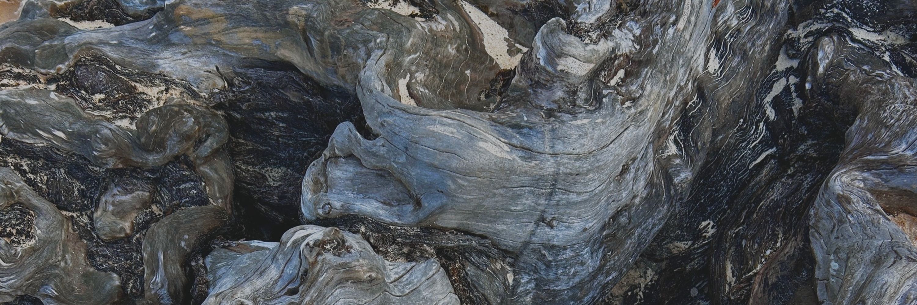 Lebenori