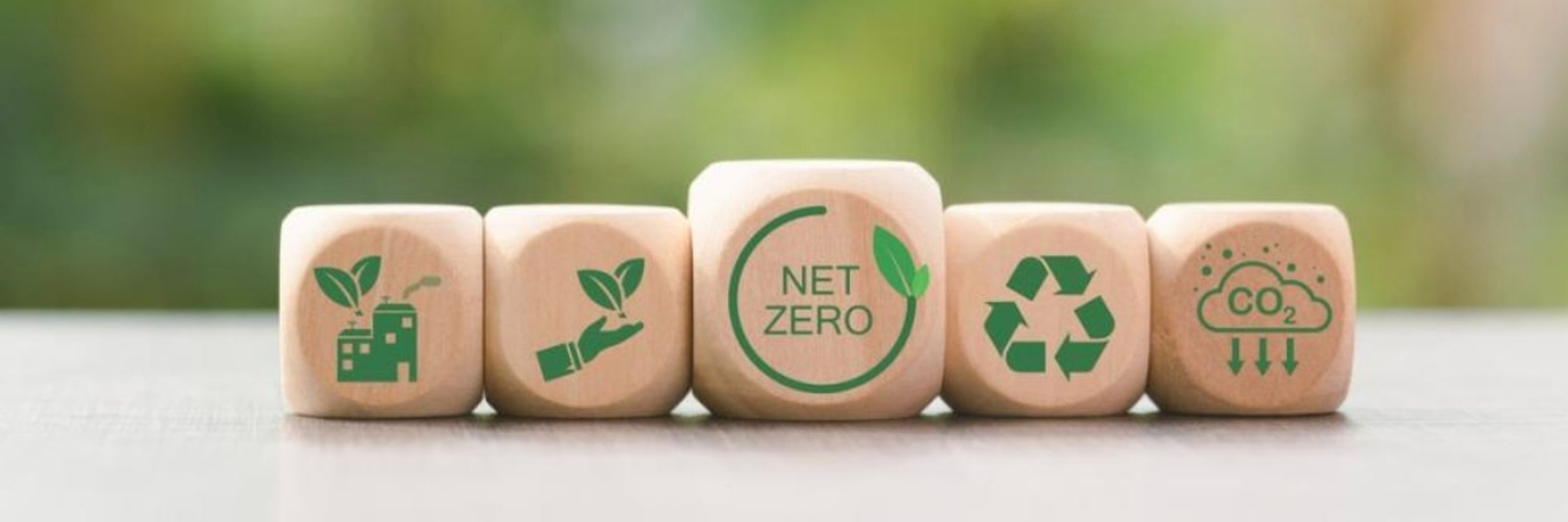 Net Zero Carbon.Eco
