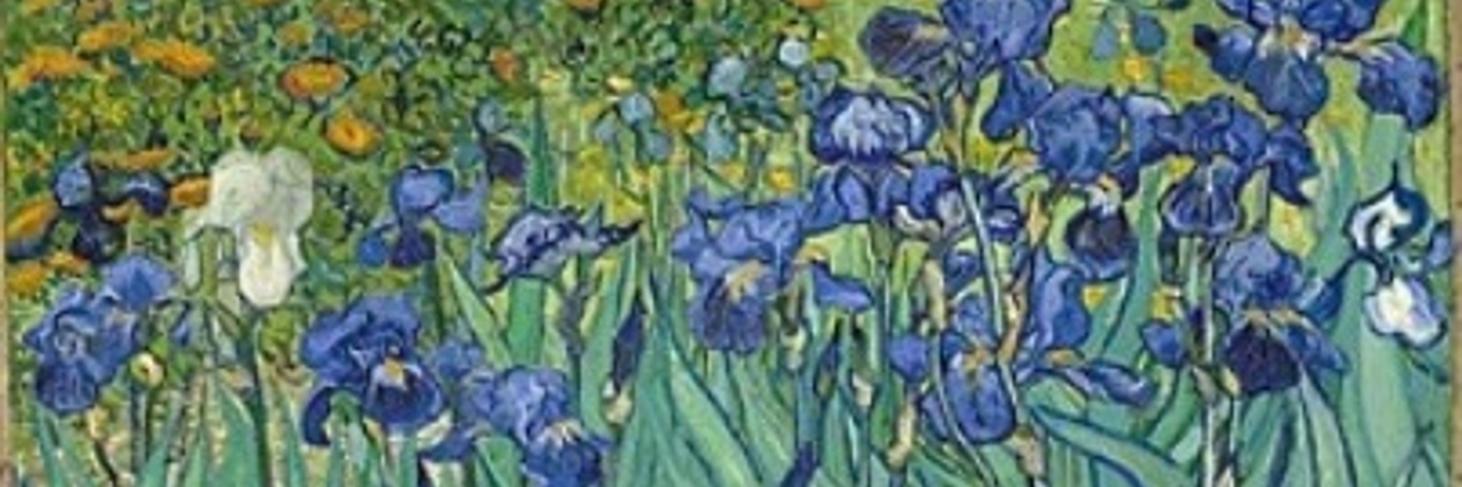 Lady Iris