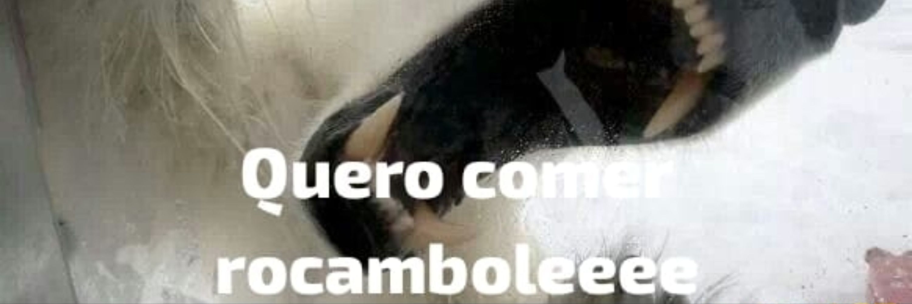 rocambole