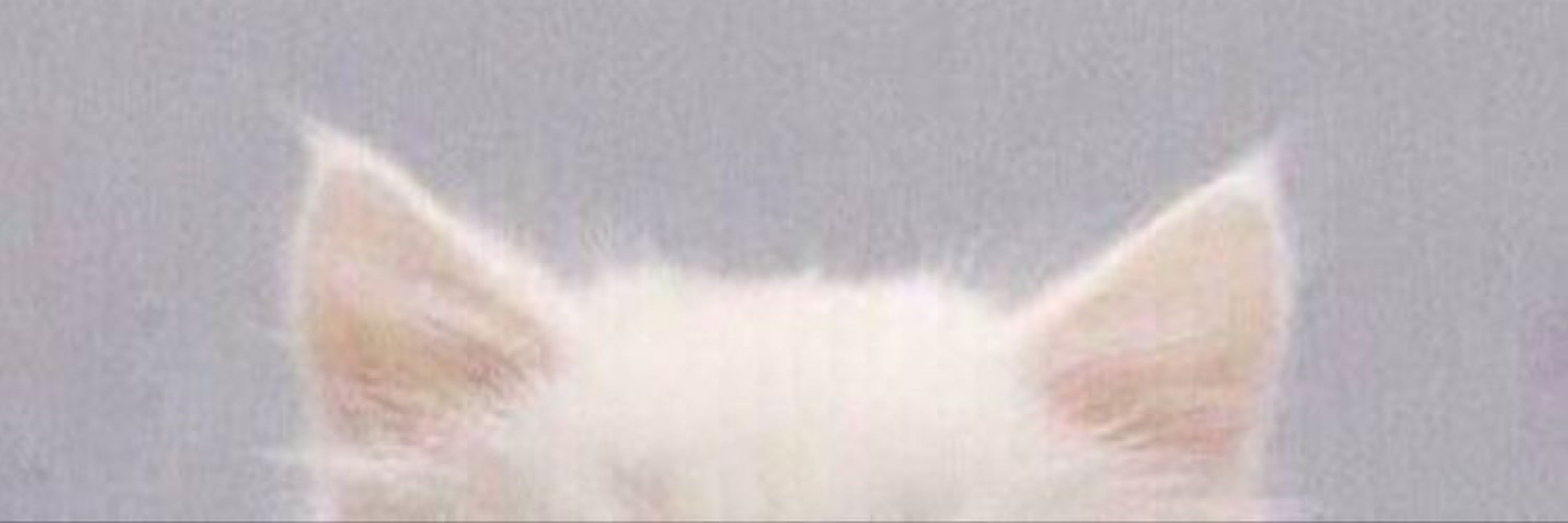 まくろ