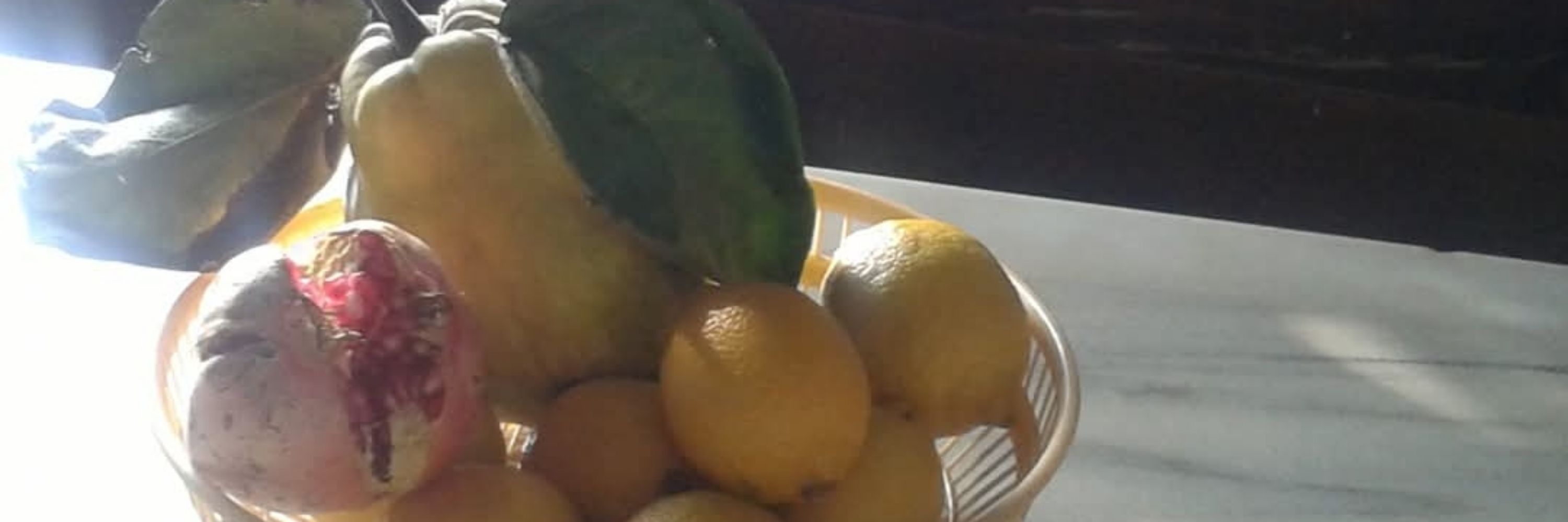Malén Eizos