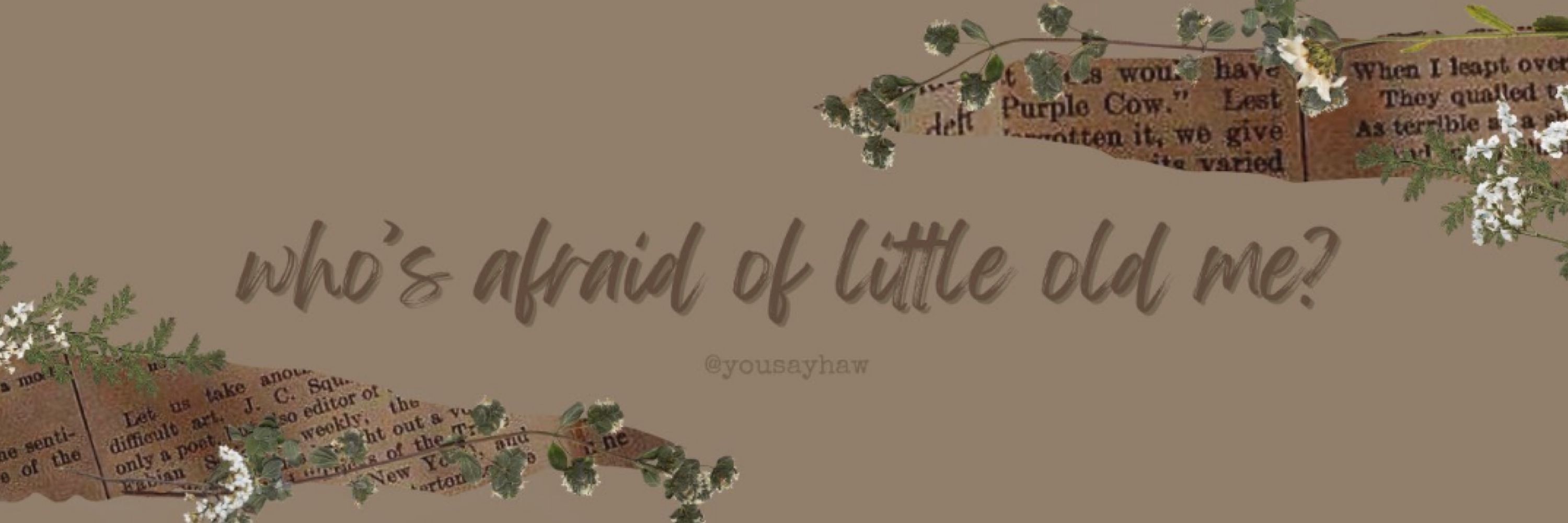 ivy🌙