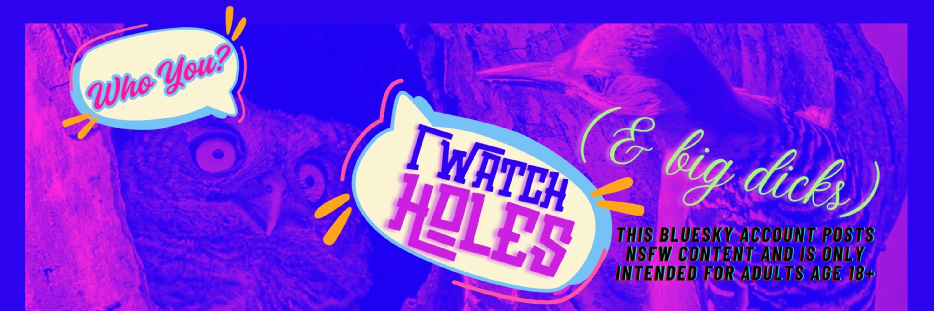 Hole Watcher