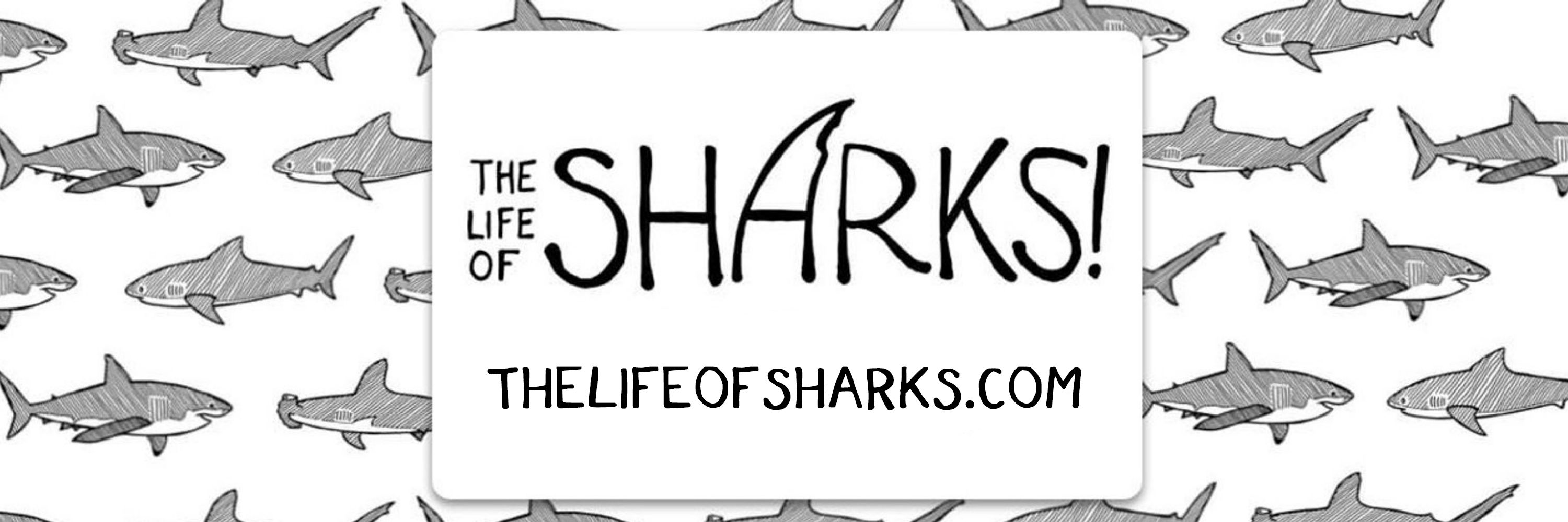 The Life of Sharks 🇮🇪🇵🇸🇺🇦🏳️‍🌈🏳️‍⚧️