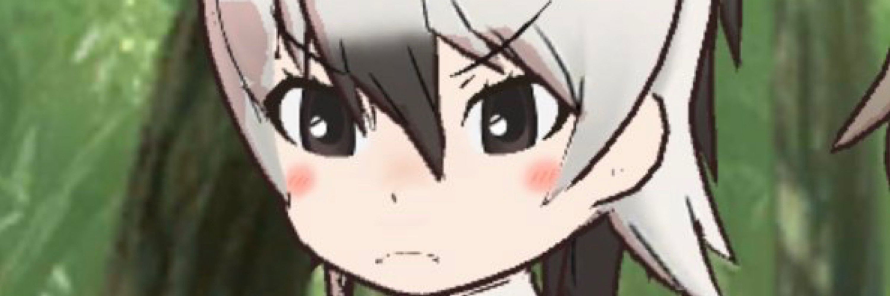 わんだふる