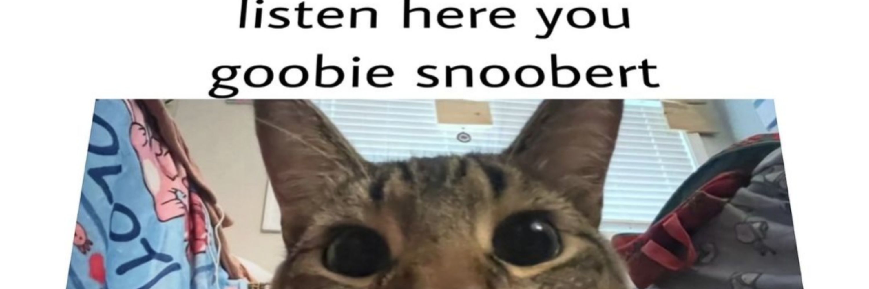 Goobie Dan