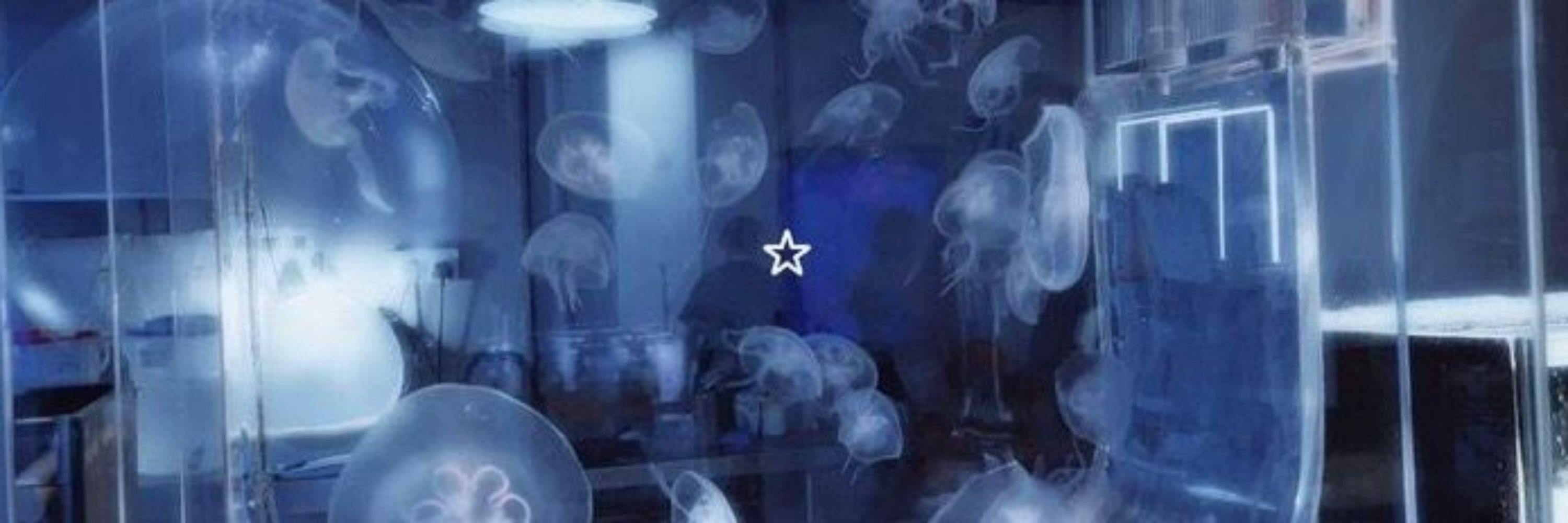 ꜱᴜɴɴʏ.☆