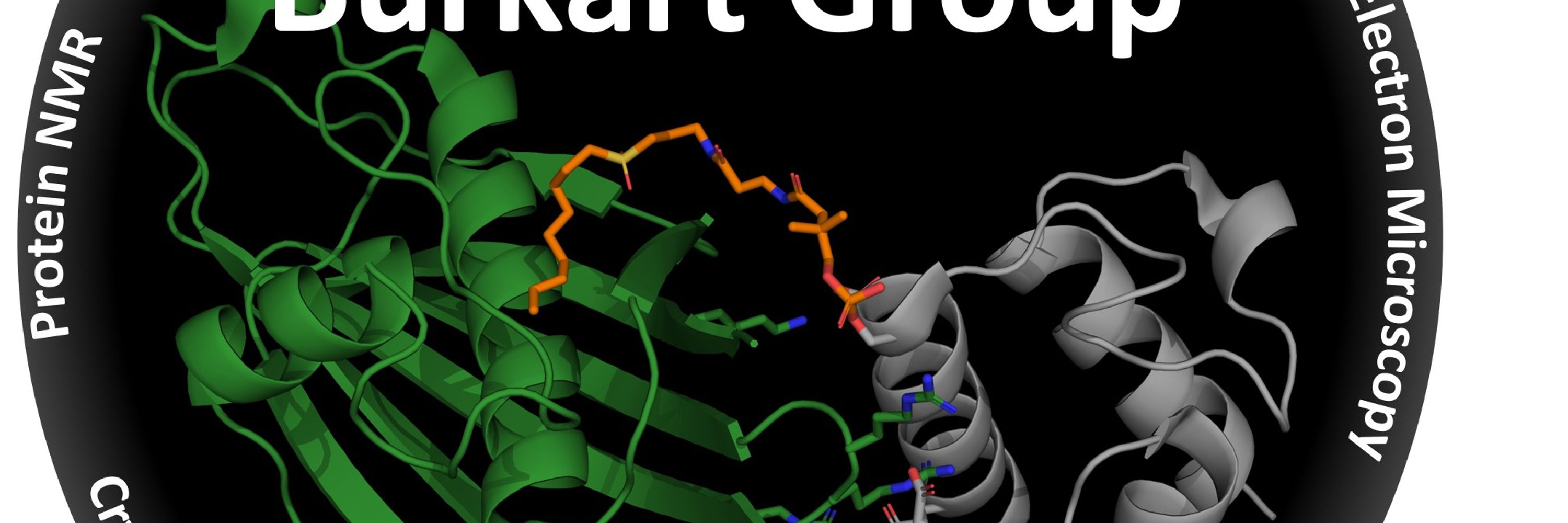 Burkart Lab