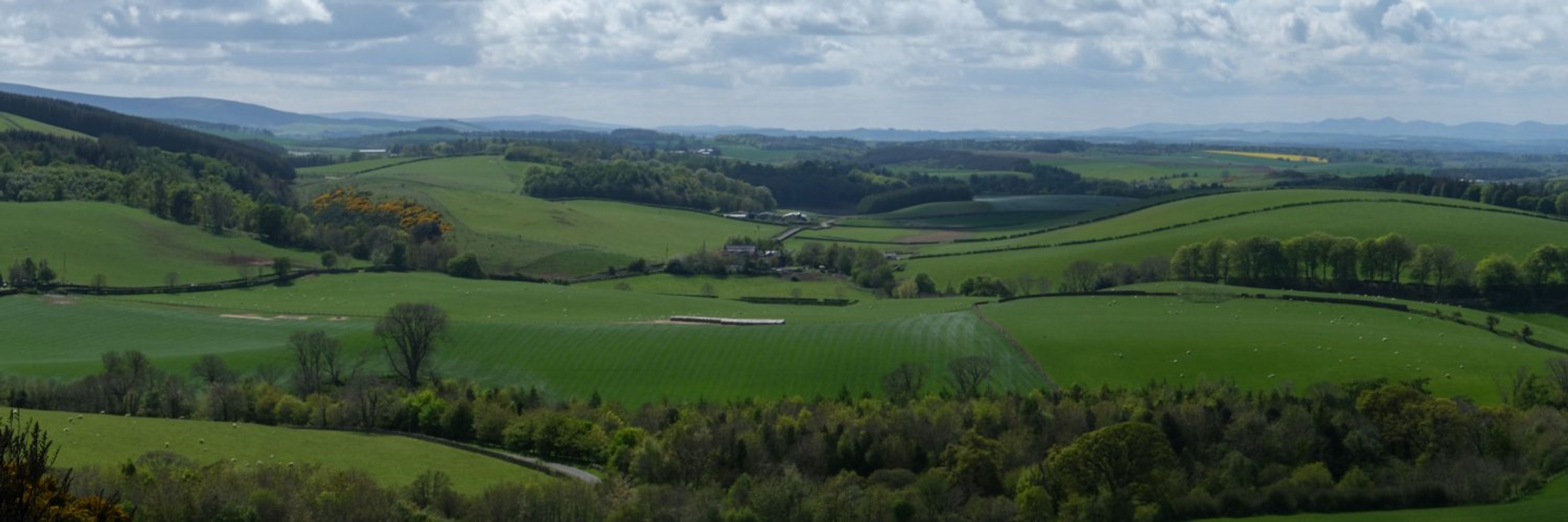 Scottish Environment LINK