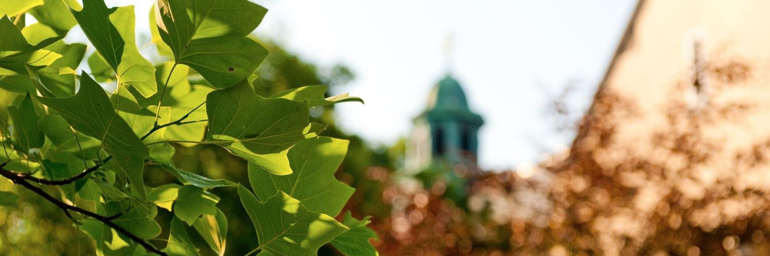 Seton Hall University