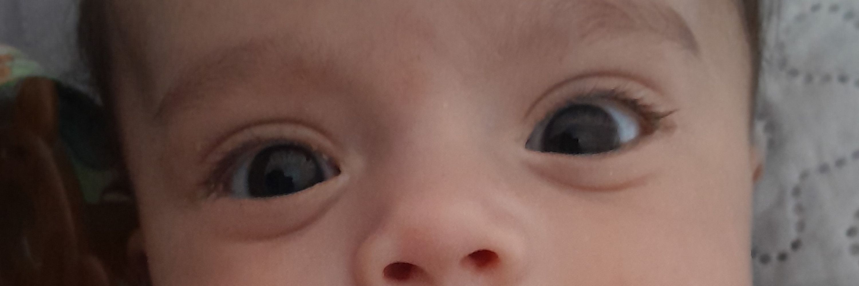 Lexi