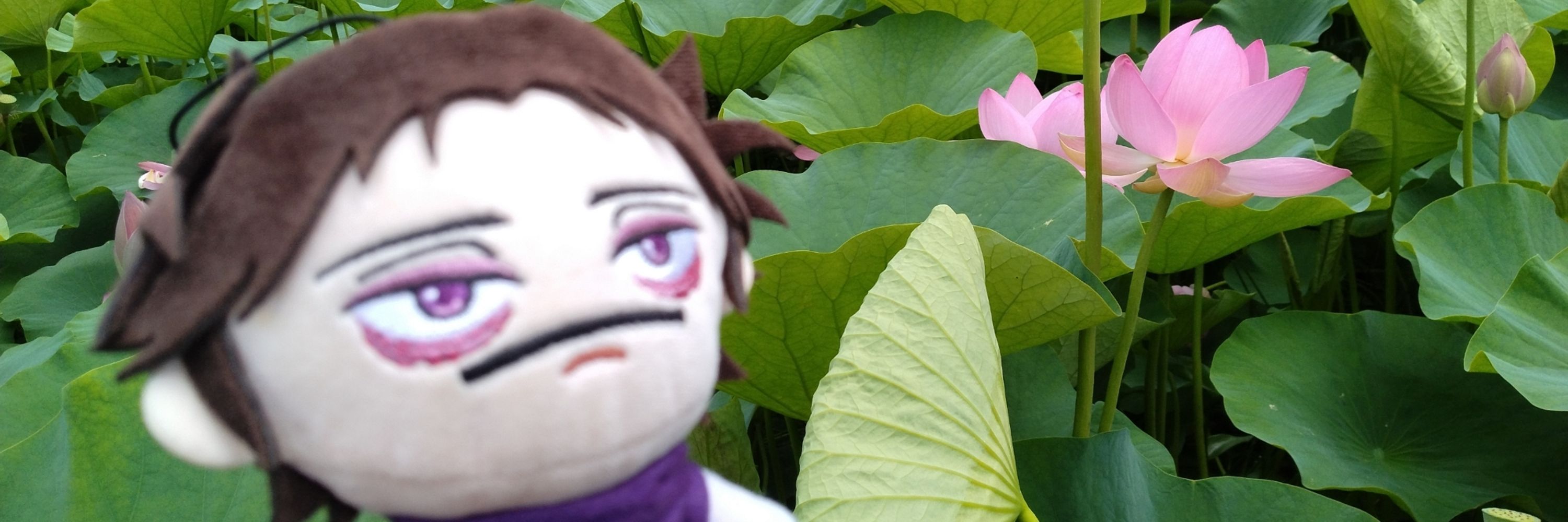 渚