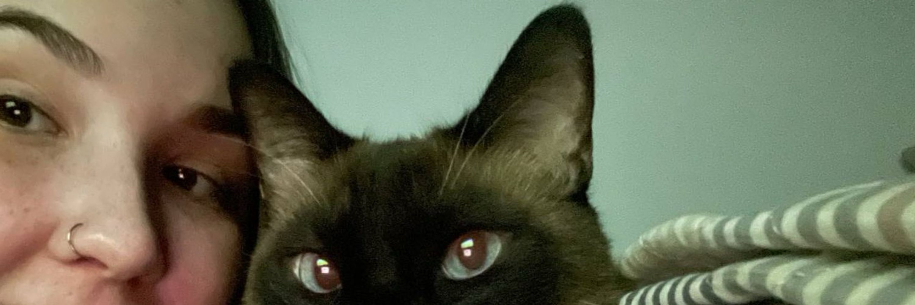 laninha