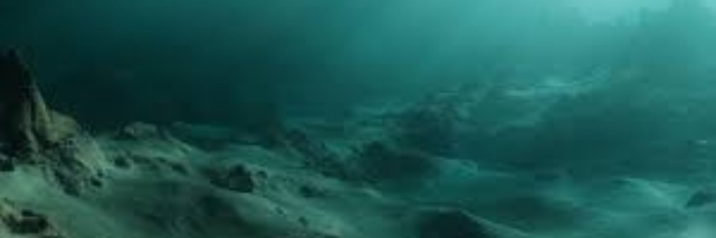 ObelianMeduz