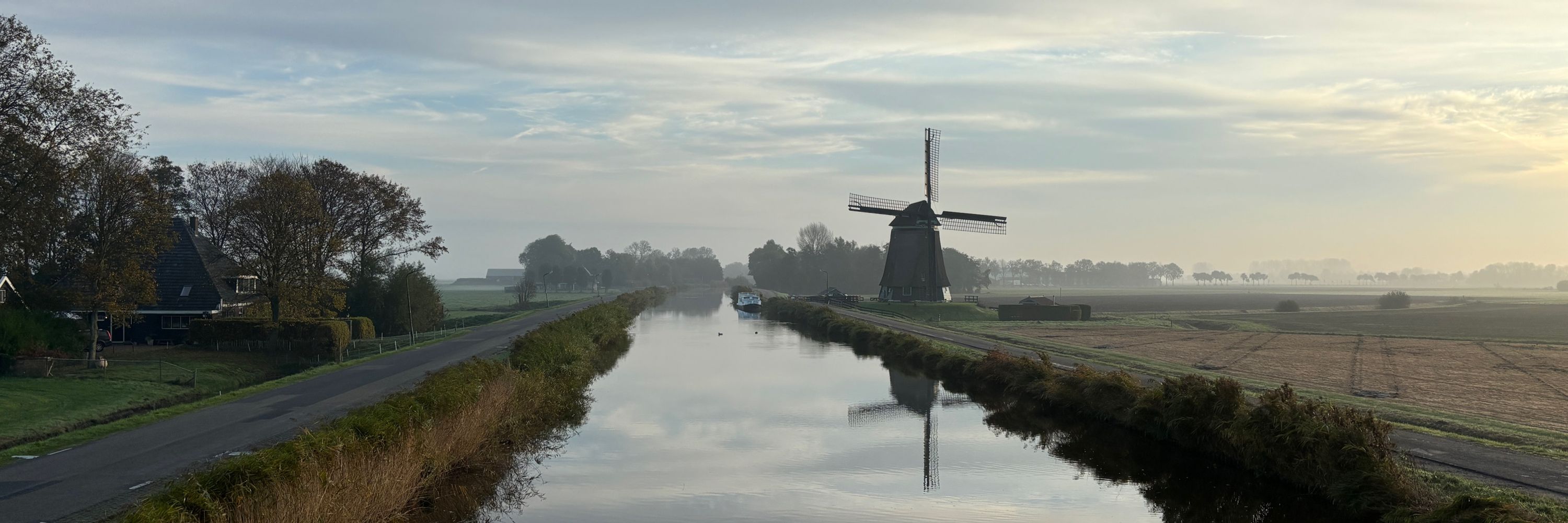 Annemieke van der Mark